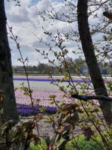 2022-04-14_08-45-32b_non