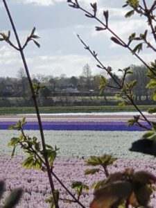 2022-04-14_08-45-32c_non