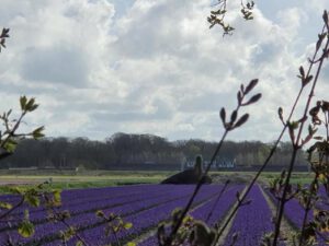 2022-04-14_08-45-33a_non