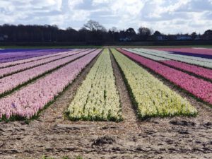 2022-04-14_08-45-33b_non