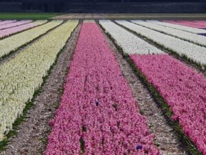 2022-04-14_08-45-33c_non