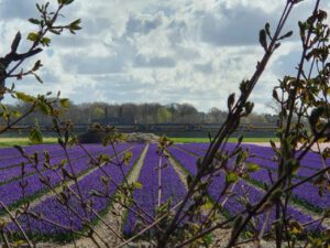 2022-04-14_08-45-34b_non