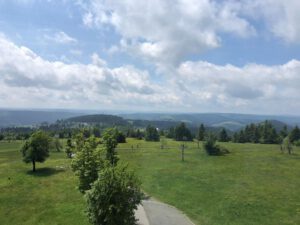 2022-06-09_08-53-33a_non