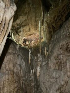 2022-06-09_08-53-37c_non