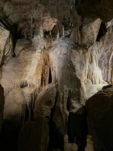 2022-06-09_08-53-38a_non