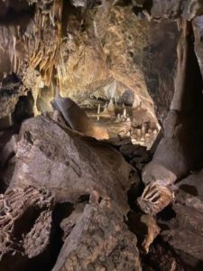 2022-06-09_08-53-39a_non