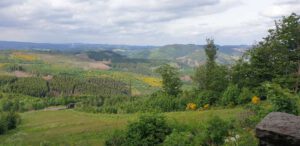 2022-06-09_08-53-40b_non