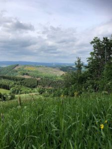 2022-06-09_08-53-43b_non