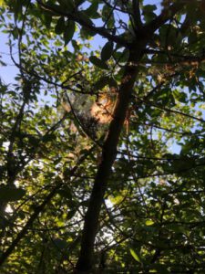 2022-06-11_19-01-25__non