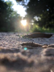 2022-06-11_19-01-27__non