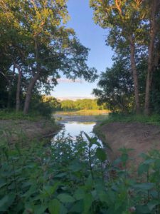 2022-06-11_19-01-30__non