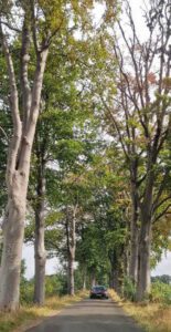 2022-09-10_17-51-04__non