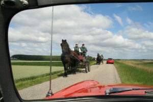 zomerrit_4545