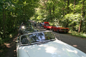 zomerrit_4564